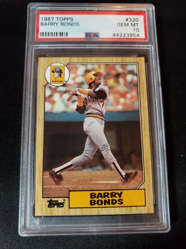 barry bonds jersey amazon