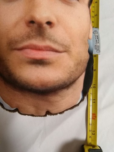 Pillow mob Zach Effron