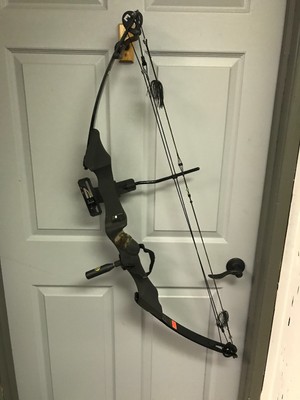 Golden Eagle Compound Bow Specs The Best Quality Eagle