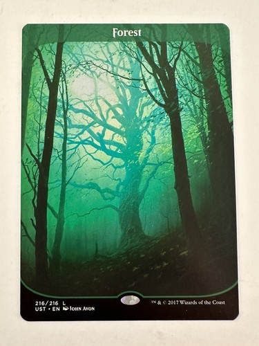 マジック：ザ・ギャザリング MTG  covered forest PSA10 マジック：ザ・ギャザリング MTG covered forest PSA10 Auction