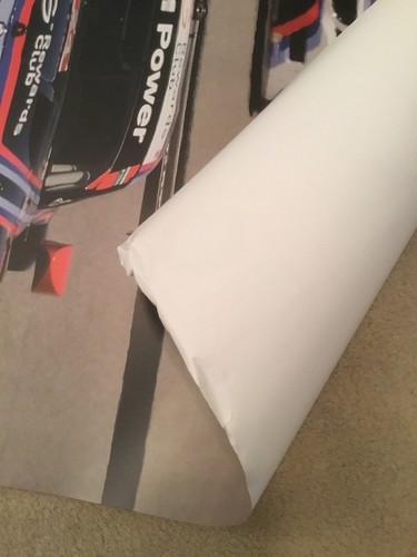 2015 BMW Team RLL Z4 GTLM Cars #24 &25 Winners Poster IMSA 36”x24”