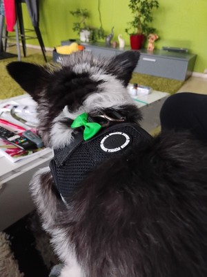 Artikelfoto(s) von einem verifizierten Käufer