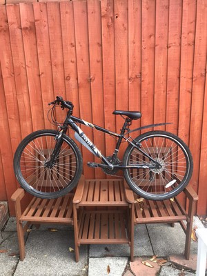 apollo wham bike