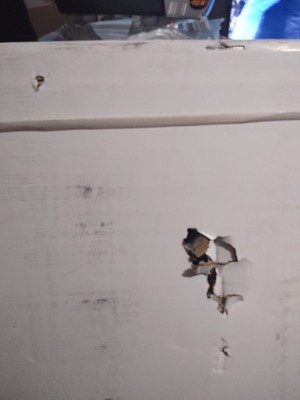 Artikelfoto(s) von einem verifizierten Käufer