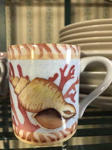 Andrea by Sadek Collecting Seashells 7 Coffee Cups By Siddhia Hutchinson