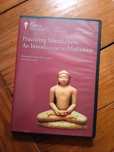 洋書 The way of Practicing Meditation 洋書 The way of Practicing Meditation Practicing Mindfulness