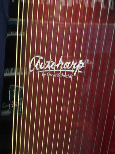Oscar Schmidt 21 Chord Autoharp  With Bag