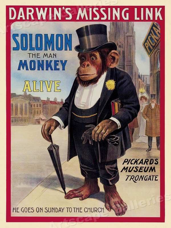 Man Monkey! Darwin's Missing Link! 1908 London Circus Poster