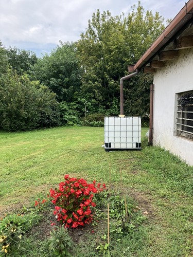 Foto dell'oggetto di un acquirente verificato