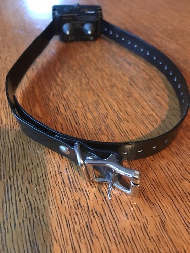 SportDog Brand SBC10R Training Collar Replacement  UNtested sold as is