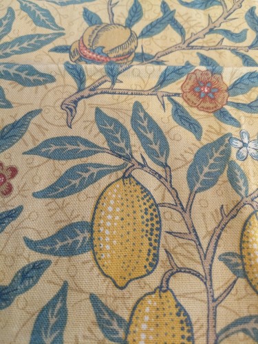 Morris & Co. Fruit Minor Fabric Remnant