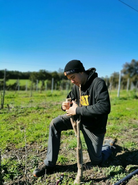 casual jobs central coast gumtree