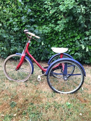 raleigh lion tricycle