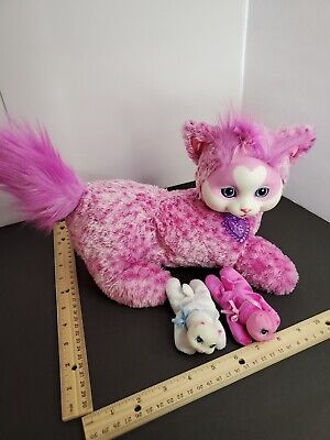 Kitty Surprise Just Play LLC 1 Hot Pink and 1 white kitten Plush 2016 cat 