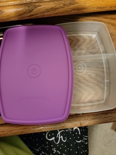 TUPPERWARE Packette Divided Aqua or Purple Side by Side Slimline Lunch Box