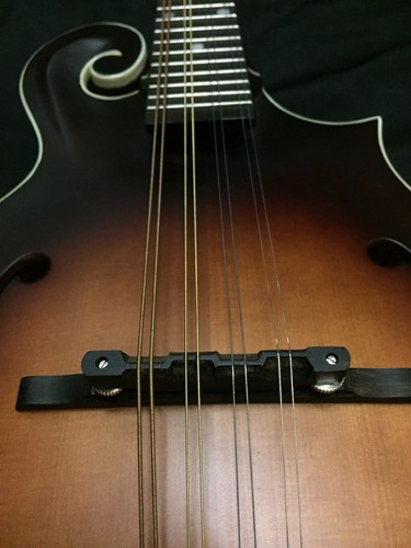 The Loar LM-310F Honey Creek F-Style ACOUSTIC MANDOLIN Brownburst