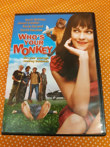 その他 YEAR OF THE MONKEY [DVD] The Monkey DVD June/24/2025 | eBay
