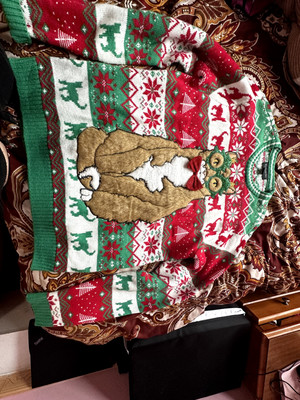 blizzard bay cat sweater