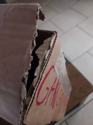 Fotos del artículo de un comprador verificado