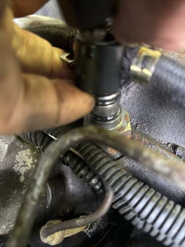 Fotos del artículo de un comprador verificado
