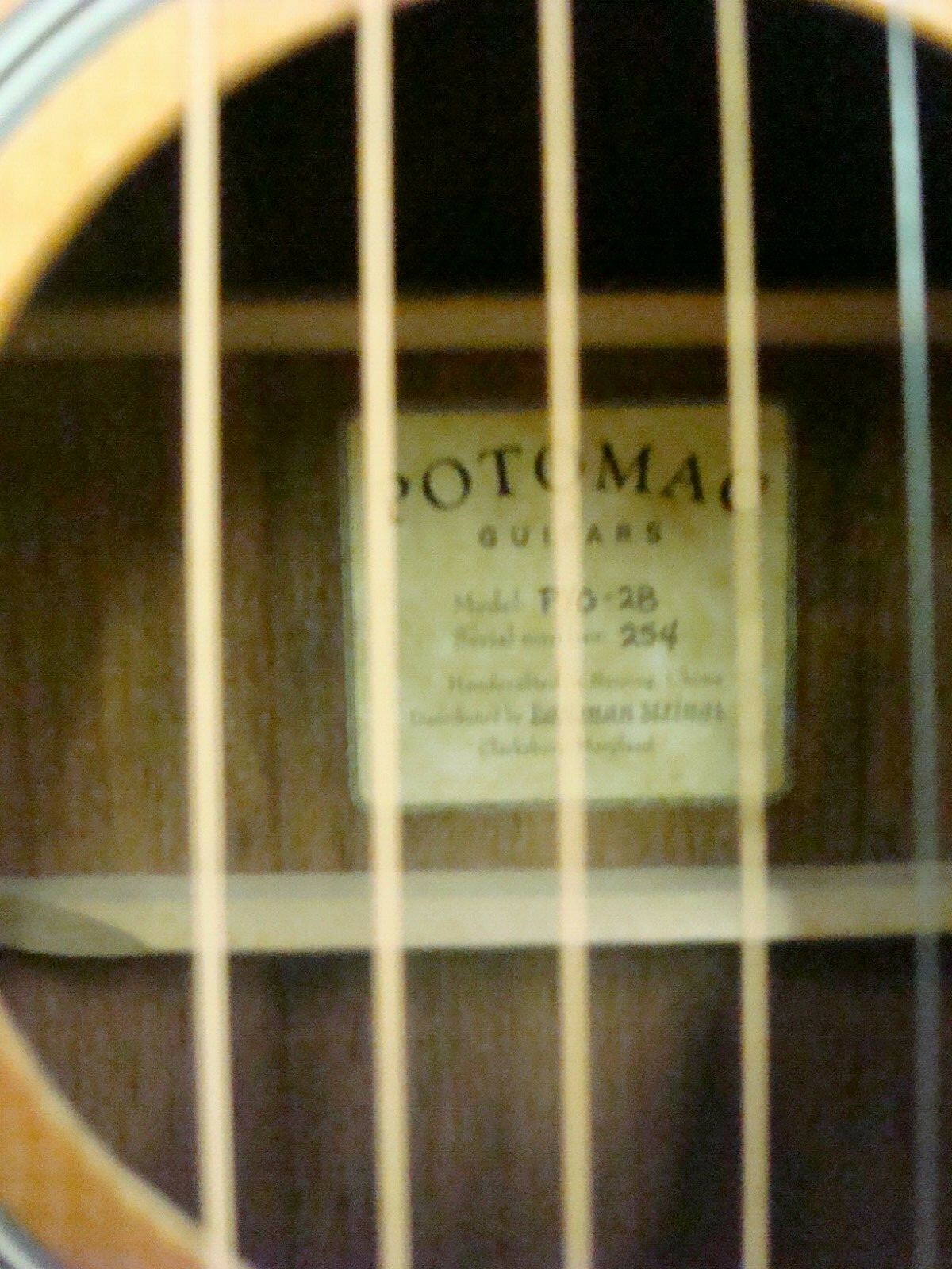 potomac/by eastman strings pvo 28 000 acoustic guitar