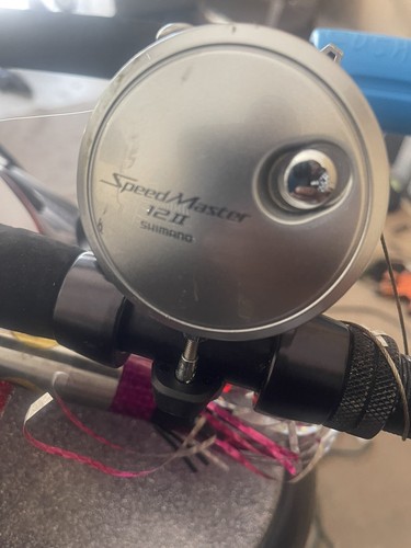 Shimano SpeedMaster II 2 Speed Reels Lever Drag Reels