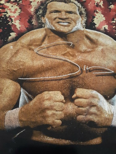 WWF SYCHO SID VICIOUS VINTAGE SHIRT TAG SIZE LARGE 1996 WWE WCW BEAT UP