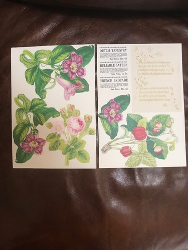 Anna Griffin Pocket Embellishment Diecuts(2 Pages Each Design For 34 Total Pages