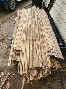 Bamboo Fencing Miscellaneous Goods Gumtree Australia Brisbane South West Sunnybank Hills 1262863926