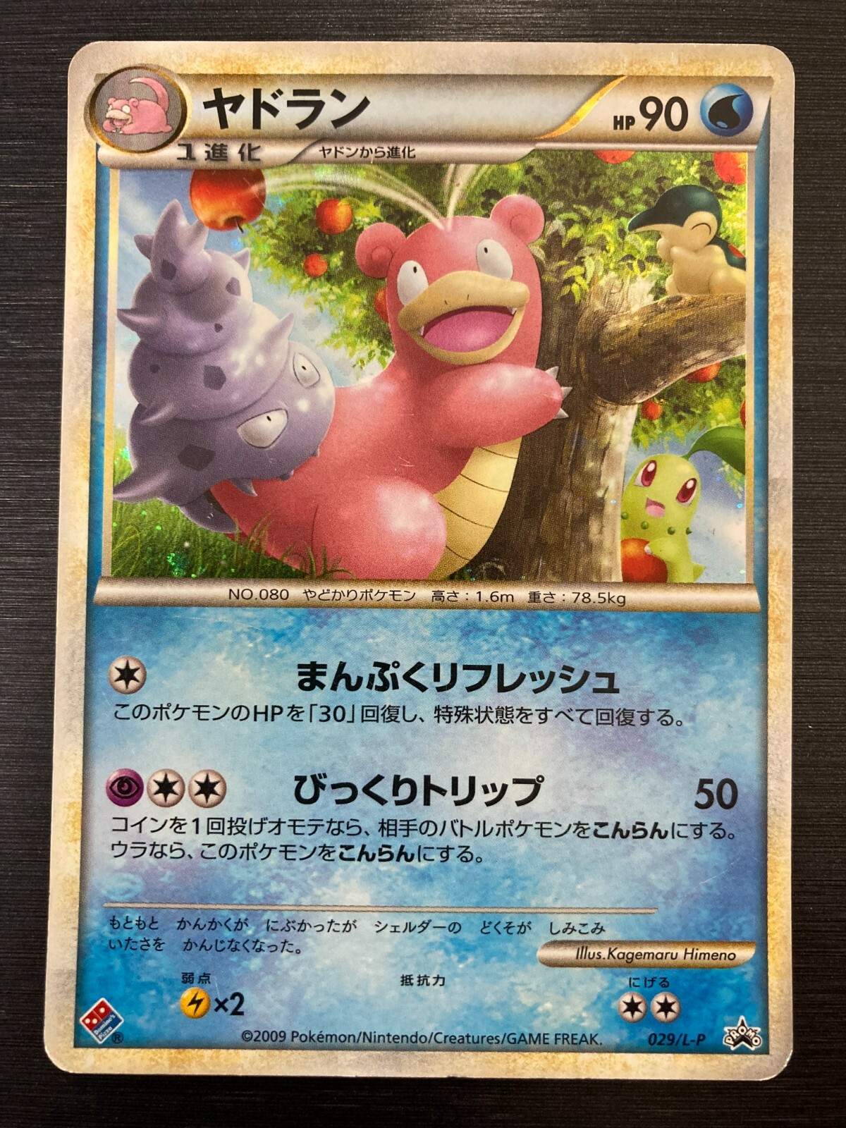 ポケモンウィークリー ブラッキー カード No.36 ポケモン
