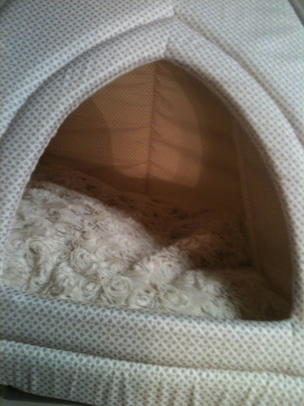 SmartyKat Kitty House