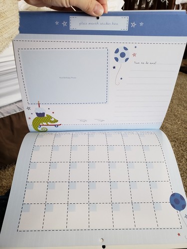 C.R. Gibson Baby's First Year Calendar with Stickers 