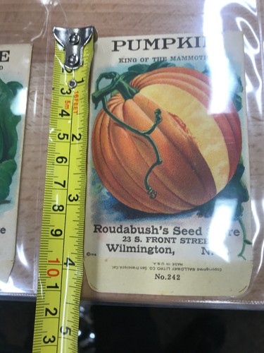 ANTIQUE 1918 PUMPKIN SEED PACKET / ROUDABUSH SEED STORE, N.C.