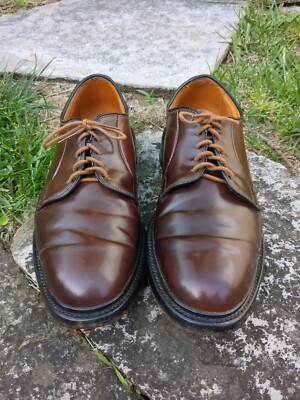 Allen Edmonds Leeds Shell Cordovan 10D