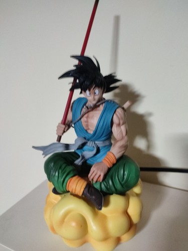 Foto dell'oggetto di un acquirente verificato