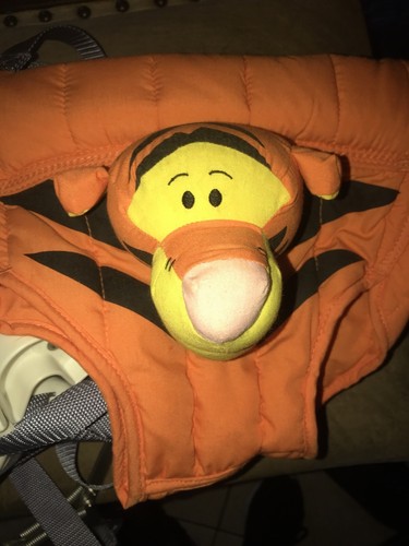 disney baby door bouncer