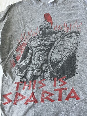 This Is Sparta Warrior Movie Graphic T Shirt Size Large Short Sleeves Color Gray