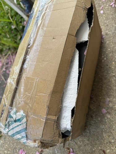 Item photo(s) from verified buyer