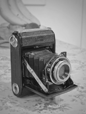 Artikelfoto(s) von einem verifizierten Käufer