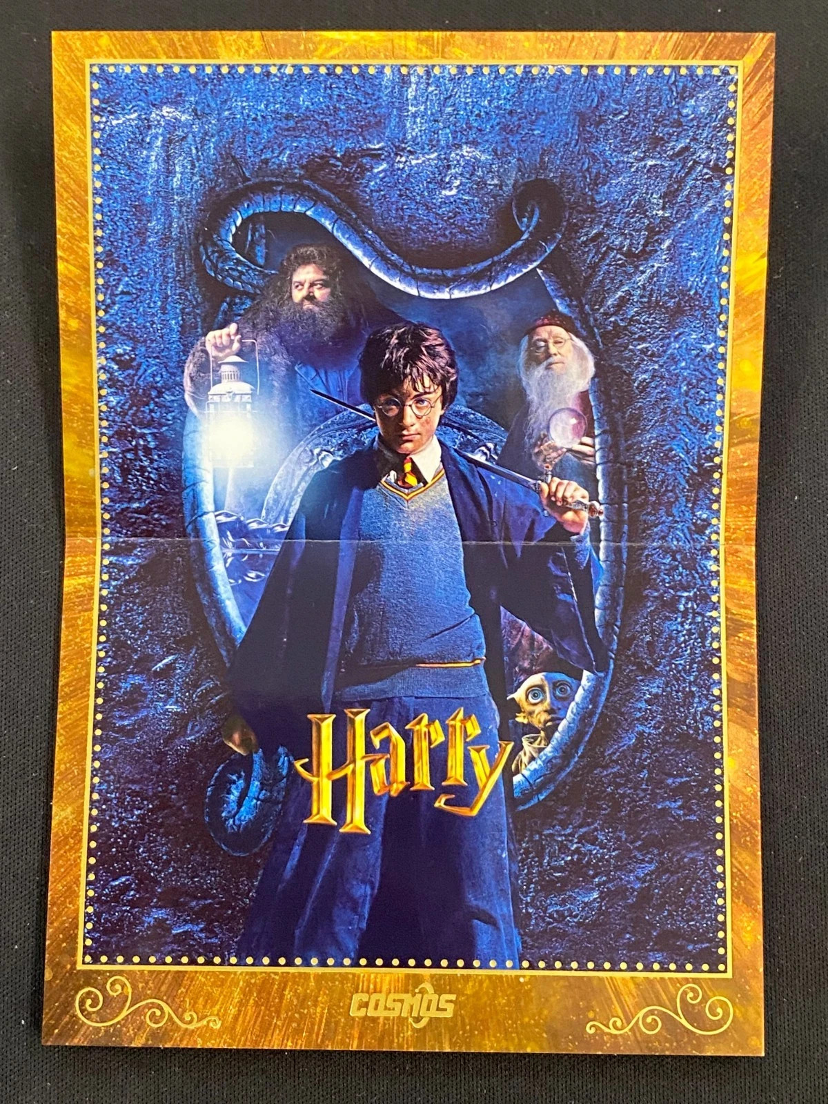 Chamber of Secrets Collection Poster 2025 Kakawow Cosmos Harry Potter CHP-HB-14