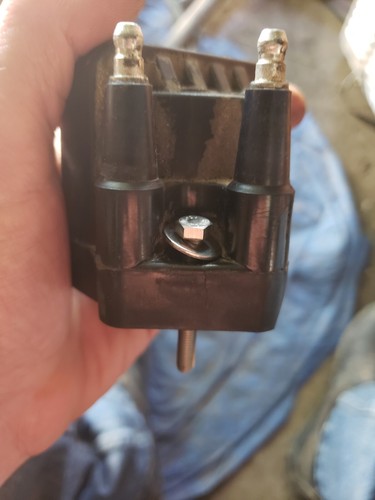 Fotos del artículo de un comprador verificado