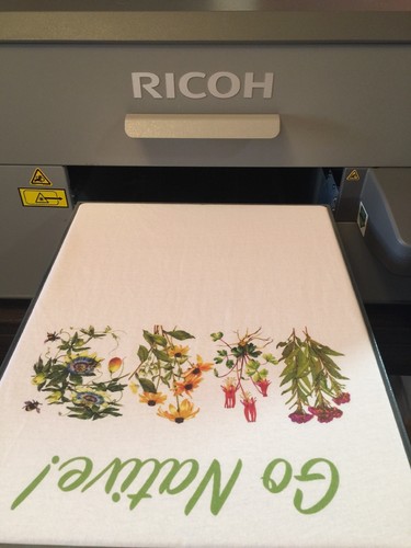 Anajet dtg printer Ricoh Ri 3000 Direct to Garment Printer T shirt printing