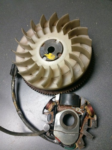 Tecumseh 610915 Flywheel w/ Lighting Coil Magneto 610980 610981 610982 MINI BIKE