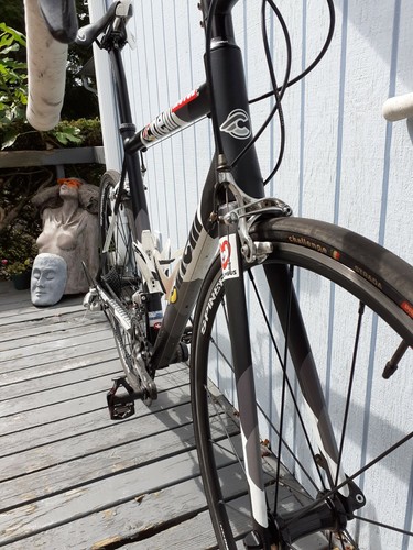 cinelli experience 2011