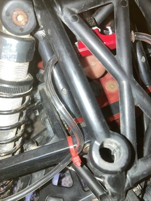 Fotos del artículo de un comprador verificado