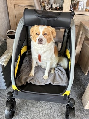 Artikelfoto(s) von einem verifizierten Käufer