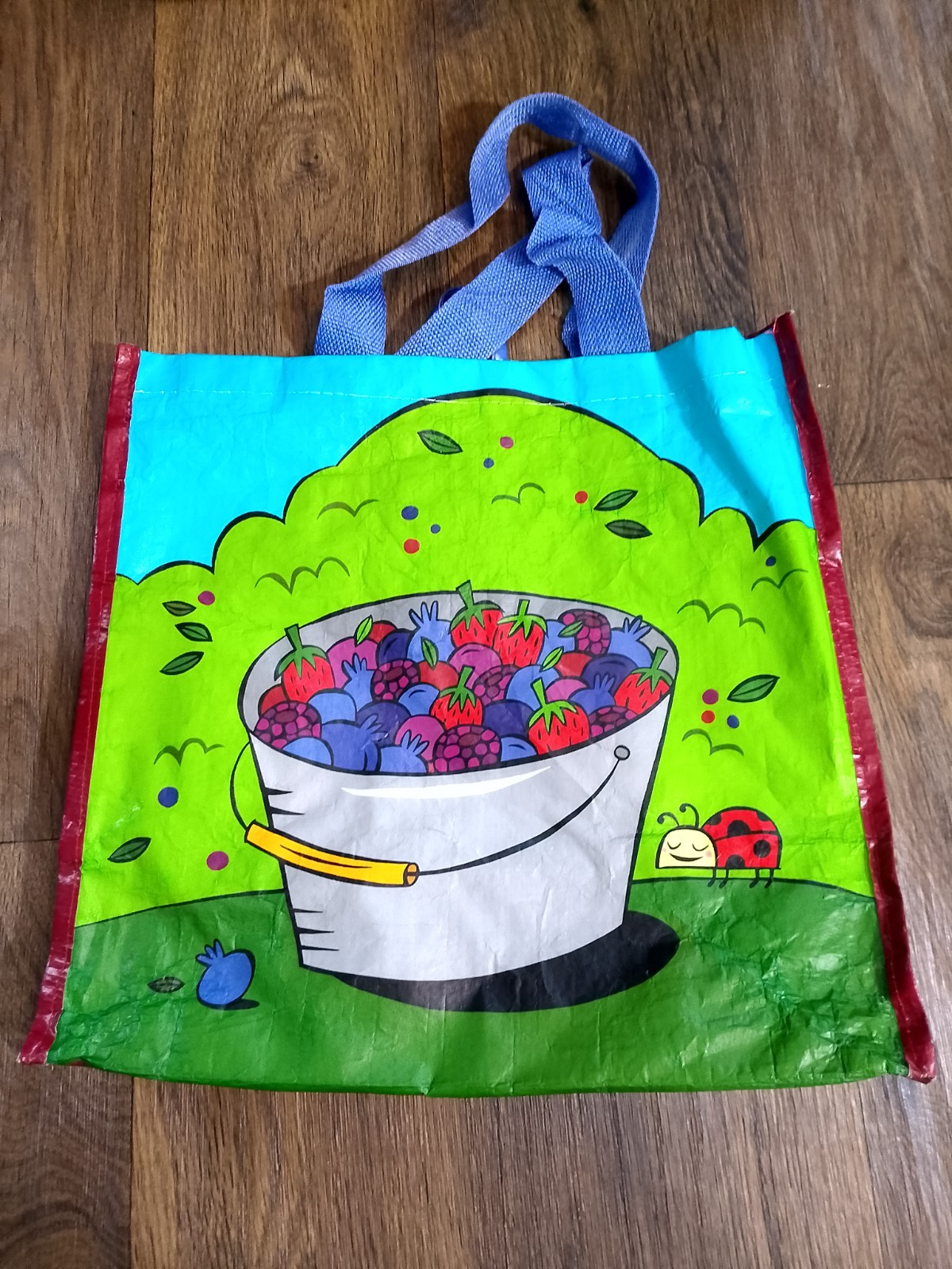 Berry various reuseable shopping grocery bag 14.5x7.5x14 inches used