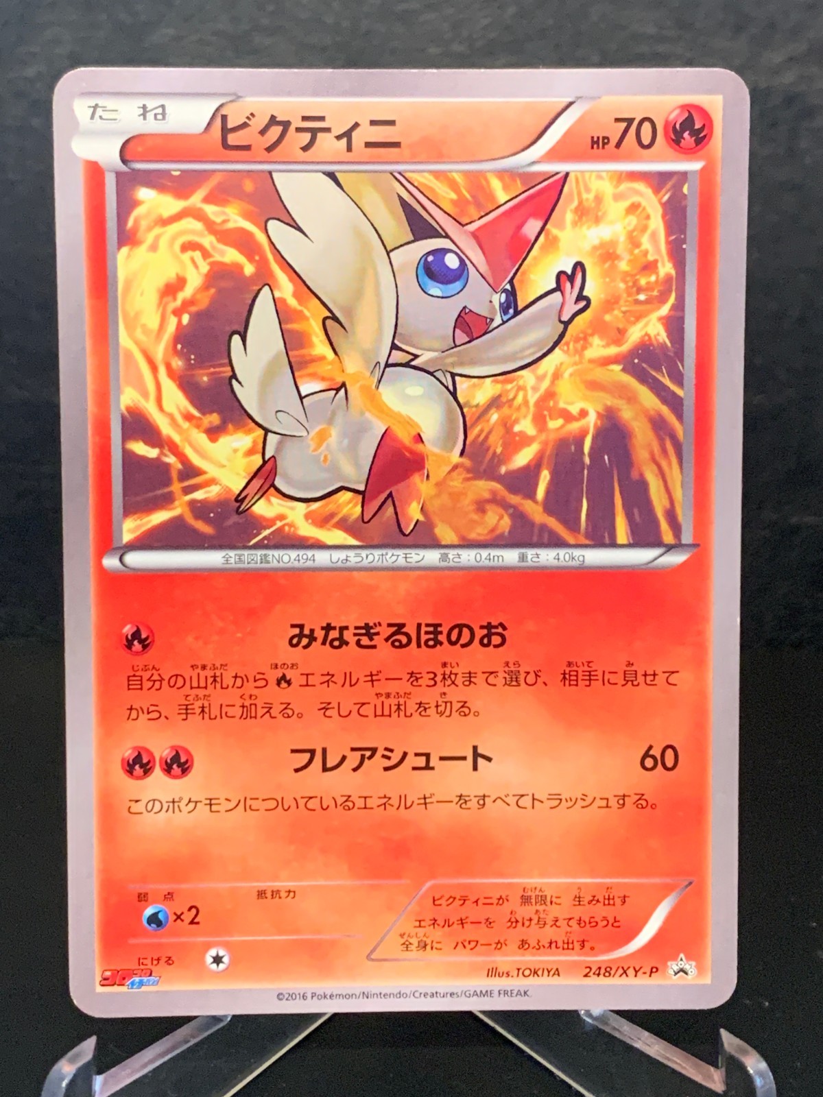 デ・ローン $_57.JPG?set_id=880000500F