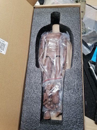 WorldBox 1/6 Scale Male Muscle Black Skin Fitness Body AT032