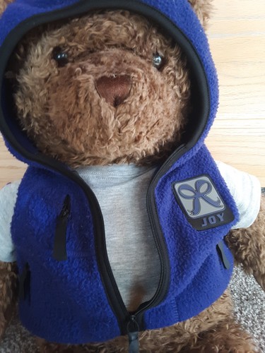 Gund collectors classic bear 26